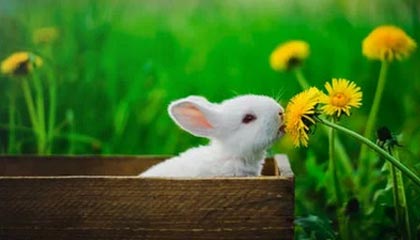 开云-广东男篮分享队内训练片段：小崔的麦考尔1v1私教课